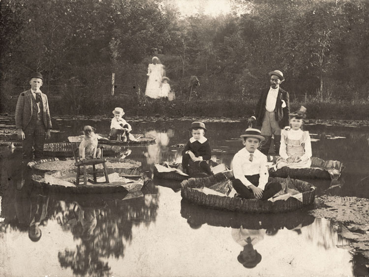Esta imagen fue tomada en Carolina del Norte en 1892, pero no tenéis más que hacer una búsqueda rápida para comprobar que hay toda una obsesión por subir niños y bebés a las hojas de estos nenúfares gigantes