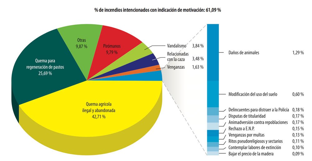 Causas de los incendios forestales intencionados (2001-2010)