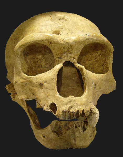 mapa de migración de los neandertales