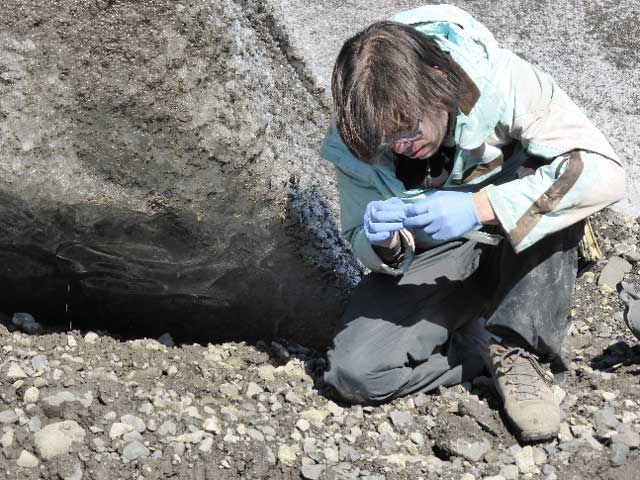 Cantidad de mierda por unidad de superficie que puedes acumular haciendo muestreo de hielo basal.