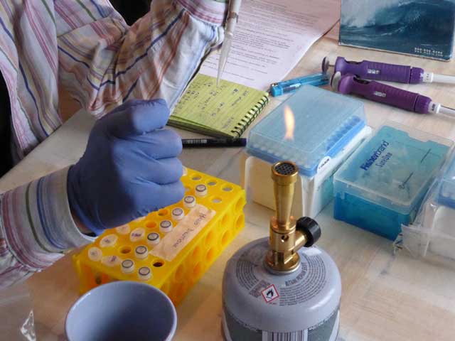 Laboratorio improvisado.