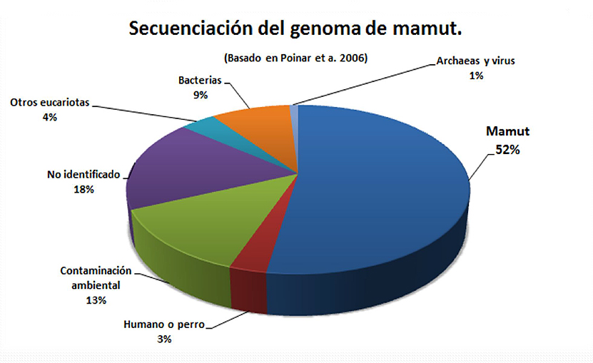 Diferentes procedencias del ADN obtenido de un mamut conservado en hielo