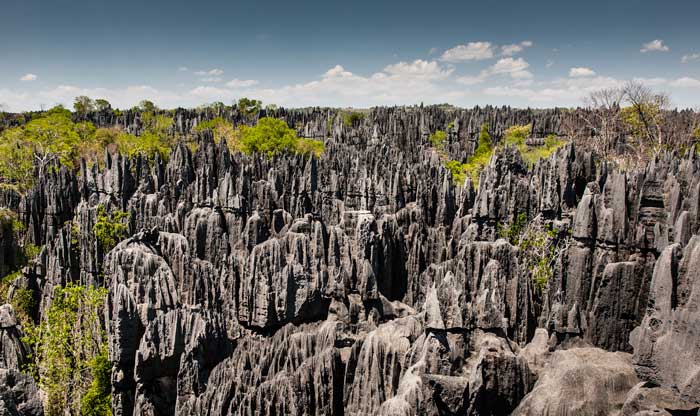 Tsingy de Bemaraha, con sus afiladas rocas. 