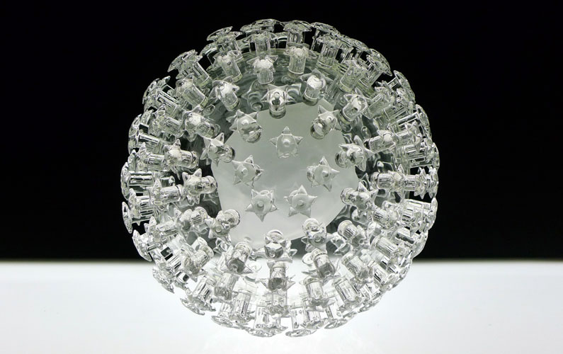 Virus del papiloma humano (VPH) 