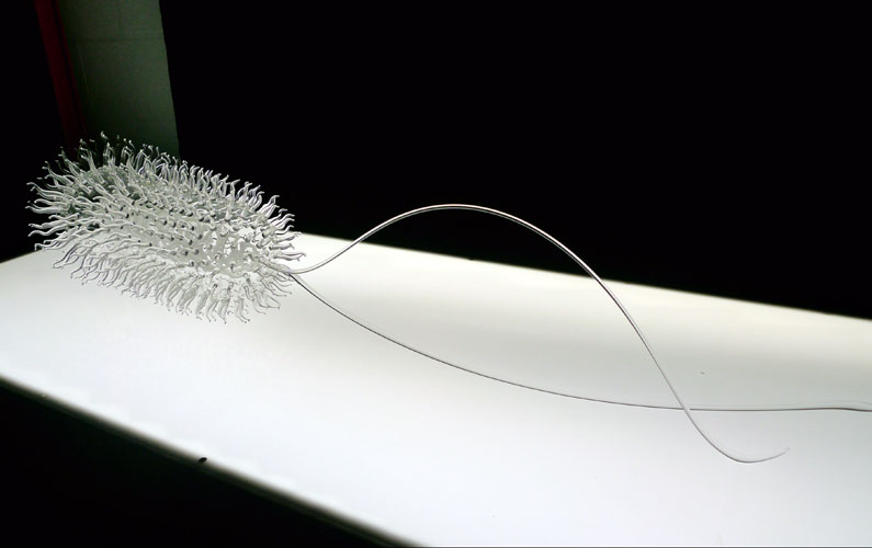 Escherichia coli . En individuos sanos, es decir, si la bacteria no adquiere elementos genéticos que codifican factores virulentos, la bacteria actúa como un comensal, formando parte de la flora intestinal y ayudando así a la absorción de nutrientes.