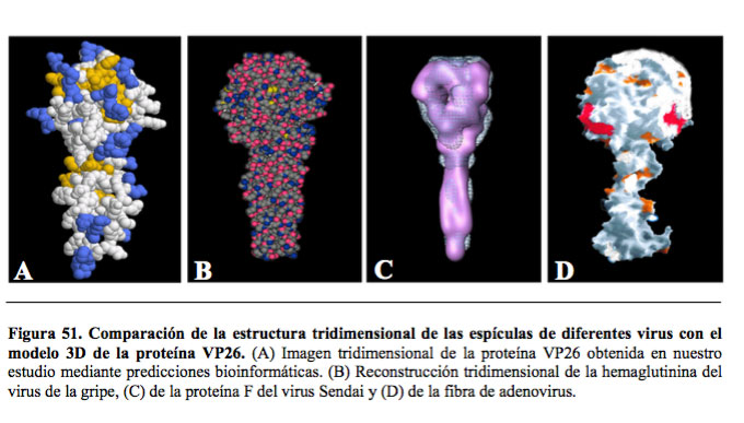 Virus en 3D