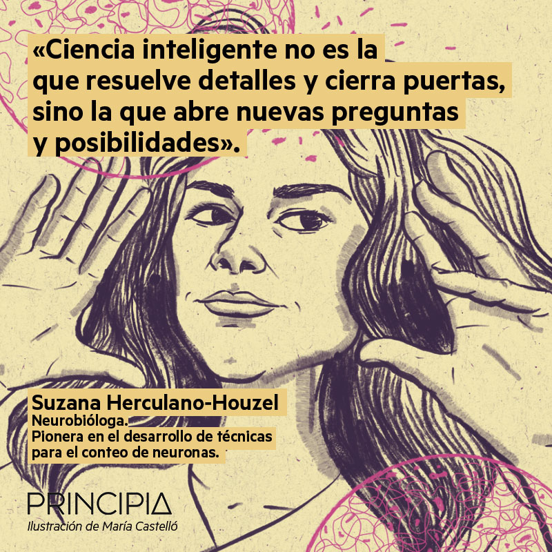 SUZANA Herculano-Houzel. Principia