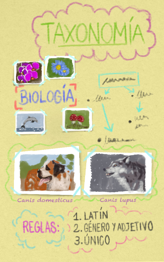 Portada móvil