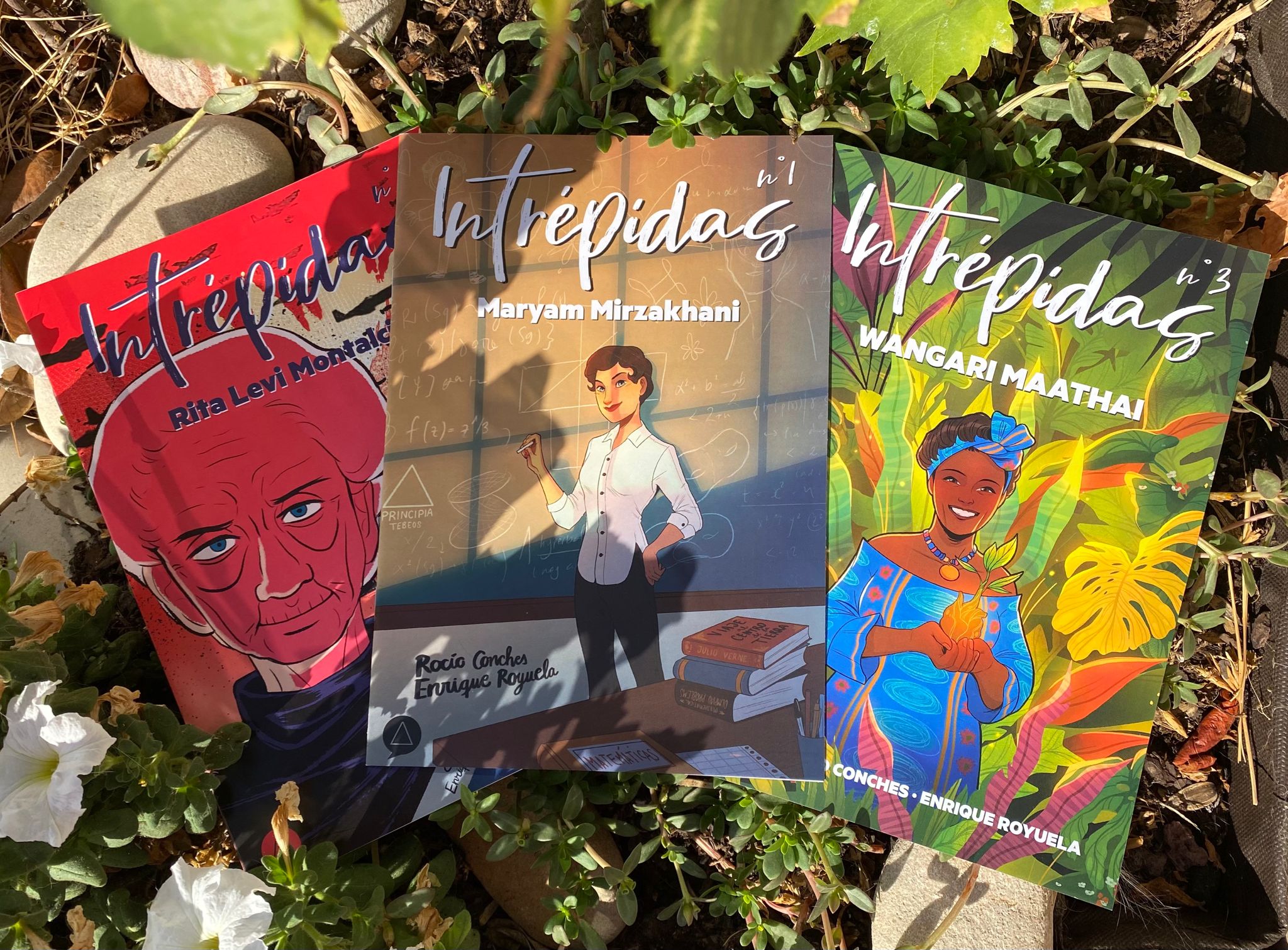 https://shop.principia.io/catalogo/inrepidas-1-2-y-3/