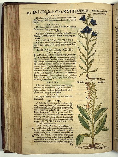 Imagen del libro Histoire des plantes. Créditos: Wellcome Trust
