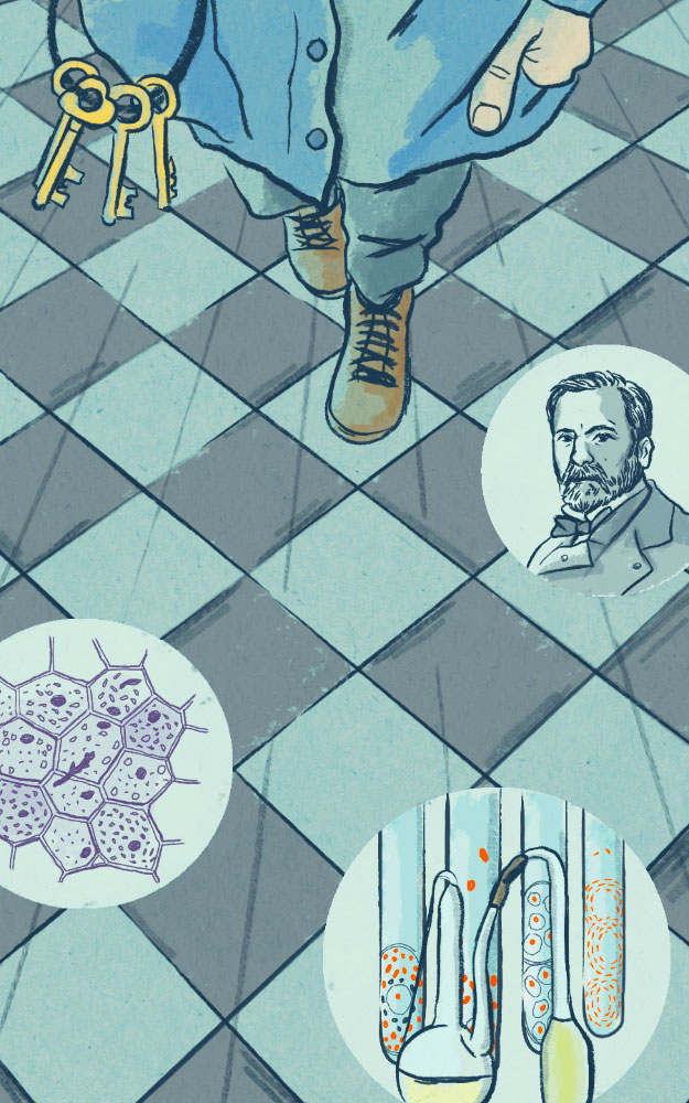 Portada móvil
