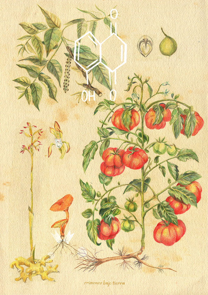 Portada móvil
