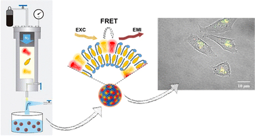 Las nanopartículas gracias a los pares FRET  permiten una mejor observación al microscopio. J. Morla-Folch et al. Créditos: ACS Appl. Mater. Interfaces.