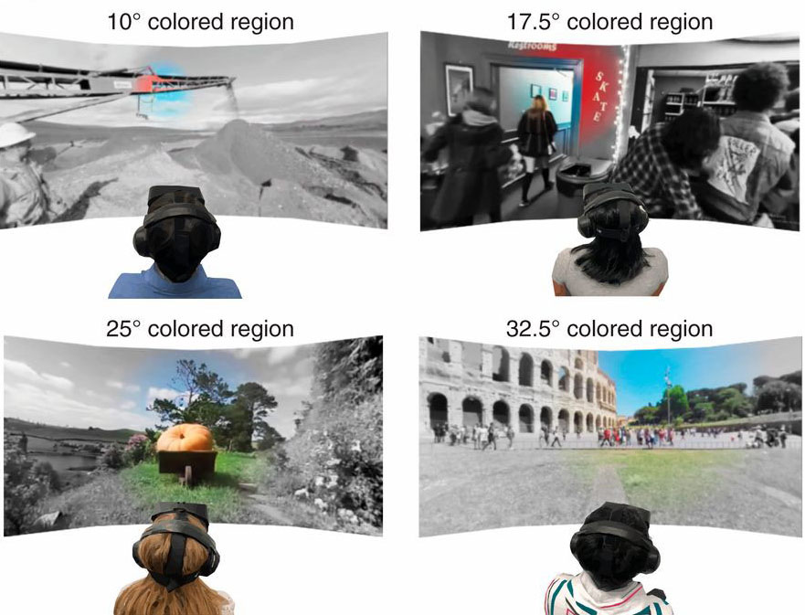 Ejemplos de participantes en escenas con diferentes ángulos visuales con color y zonas periféricas en blanco y negro. Créditos: PNAS