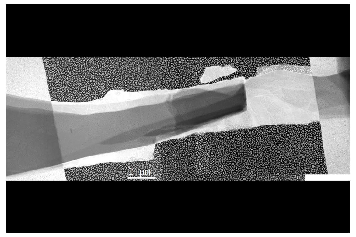 Imagen al microscopio electrónico de los dos semiconductores utilizados que se superponen en la zona oscura. Los puntos son nanopartículas de indio que sirvieron para medir la temperatura del dispositivo. Créditos: W. A. Hubbard et al. ACS Nano 