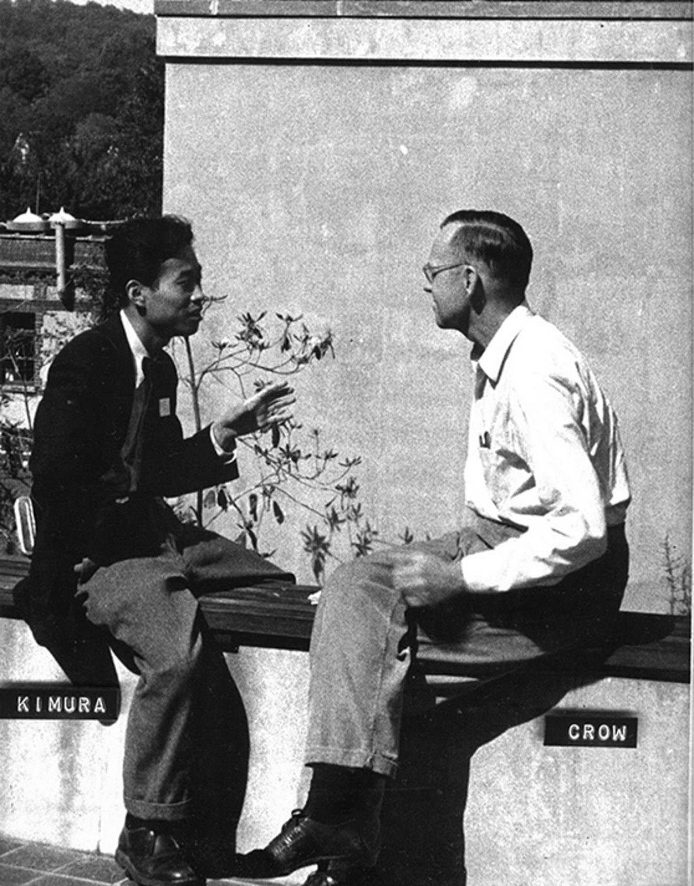 Kimura y James F. Crow