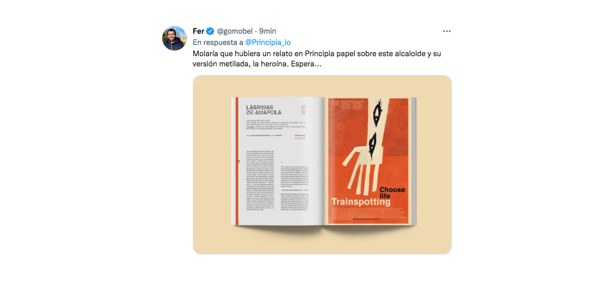 https://shop.principia.io/catalogo/principia-magazine-14-t7e2/