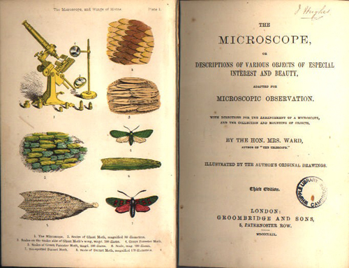 Sketches with the Miscroscope. Primera edición de la que solo se imprimieron 250 copias. Fuente: The Saleroom.