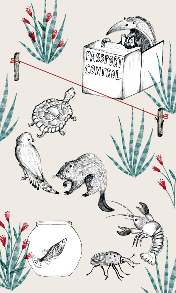 Portada móvil