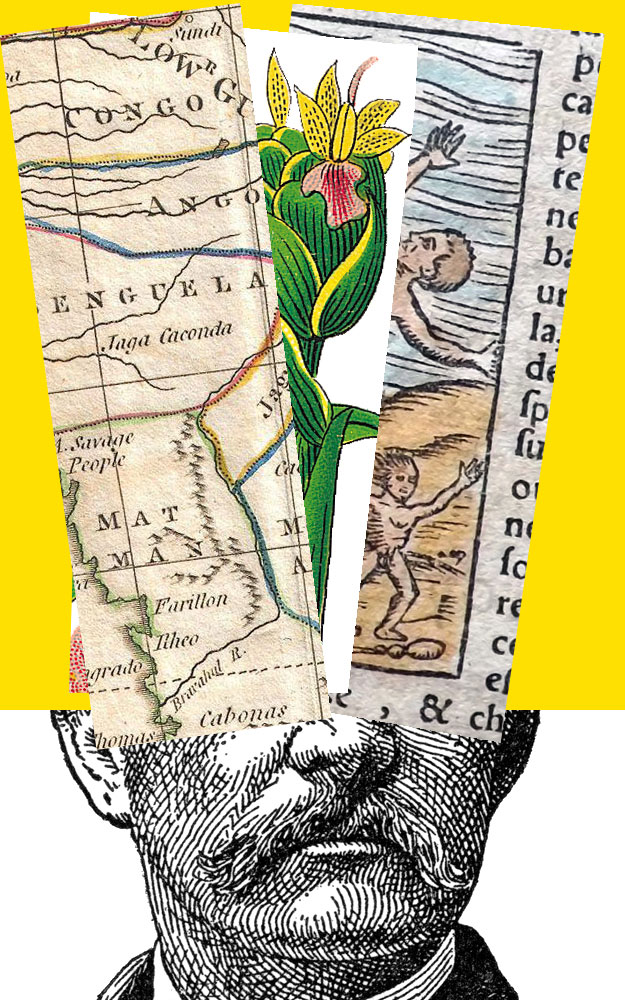 Portada móvil