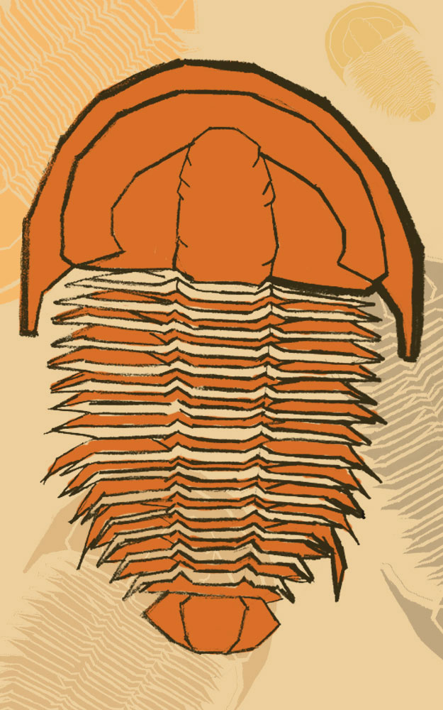 Portada móvil